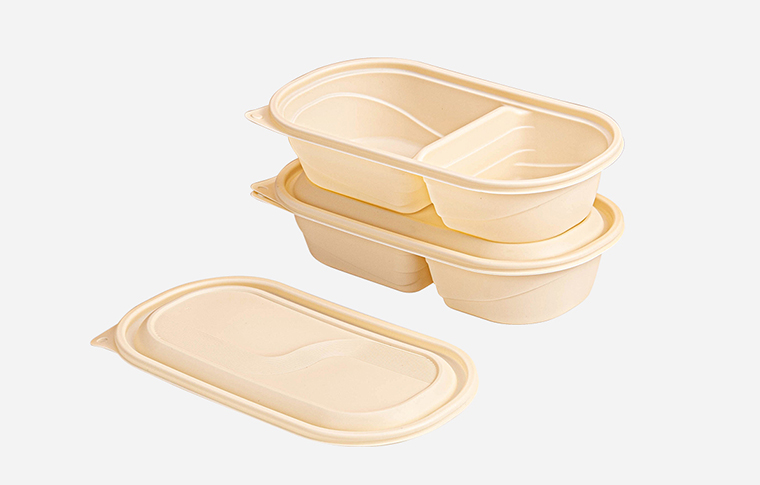 Hot Selling Rectangle Disposable Biodegradable Plastic Food Container With Lid